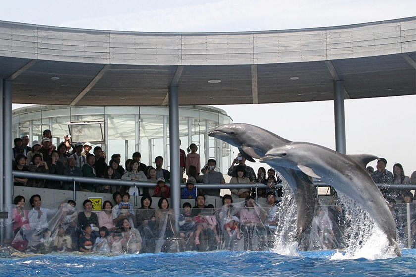 大分マリーンパレス水族館「うみたまご」で豊かな海の生態を体感！